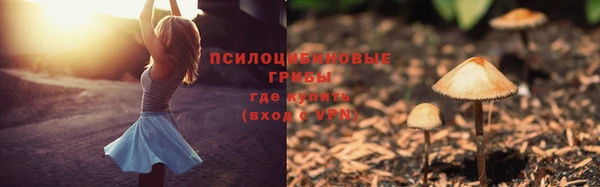 каннабис Беломорск