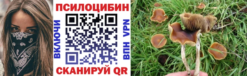 hydra вход  Кунгур  Псилоцибиновые грибы Magic Shrooms  где продают наркотики 
